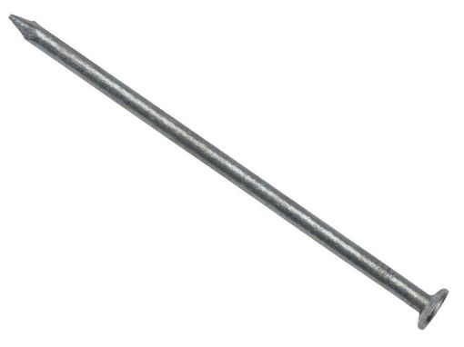 Picture of 2.65 x 65mm Batten Nails - Galvanised - Bag 2.5KG