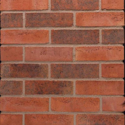 Picture of Oast Russet Sovereign Stock (430 Per Pack )