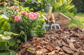 Picture for category Soil & Bark