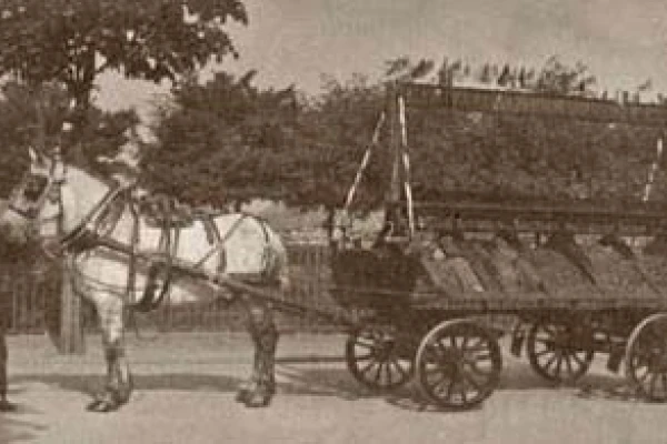 A vintage 1918 photo of a horse and carriage